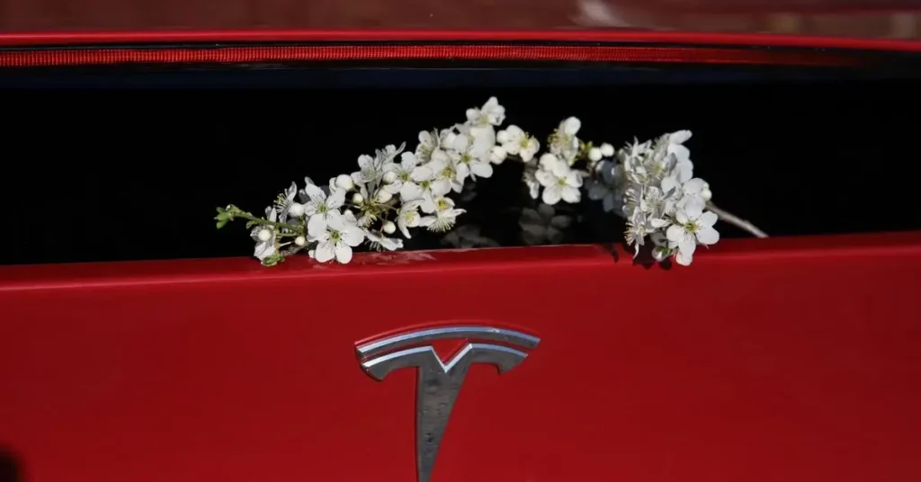 How to Clean Tesla White Seats